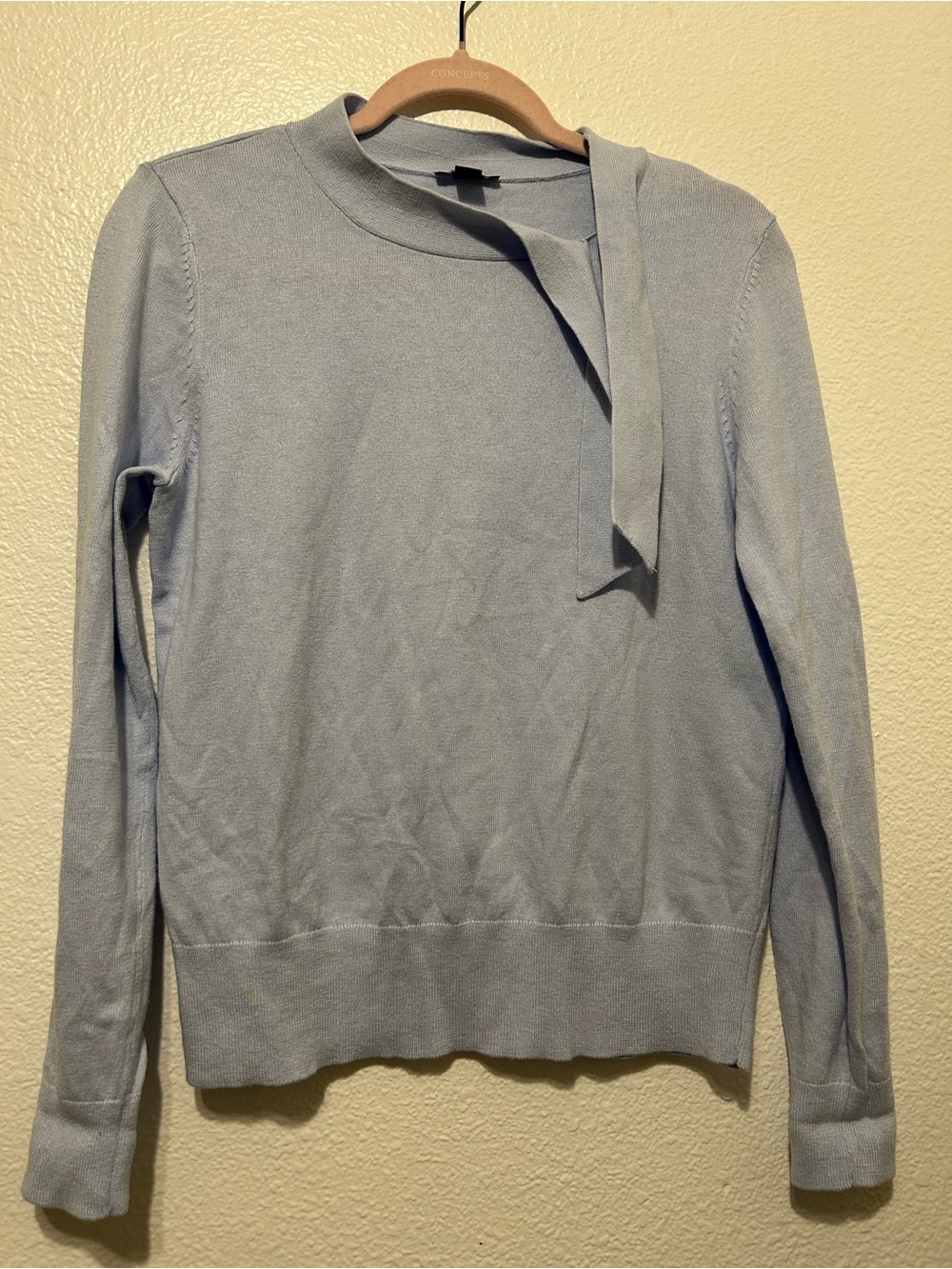 Ann Taylor Light Blue Crewneck Sweater